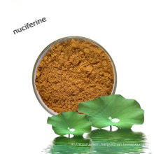 Plant Extract Lotus Extract Powder for Health Care Products Nuciferine